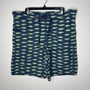 Patagonia Men’s Swim Trunks Blue And Green